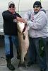 Click image for larger version

Name:	51 LBS. FALL 2016 STRIPED BASS.jpg
Views:	148
Size:	51.5 KB
ID:	117214