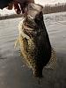 Click image for larger version

Name:	Crappie 4.9.6.jpg
Views:	266
Size:	53.4 KB
ID:	132149
