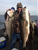 Click image for larger version

Name:	Striper Limit Bow.jpg
Views:	163
Size:	44.2 KB
ID:	65870