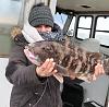 Click image for larger version

Name:	tog heather.jpg
Views:	169
Size:	58.0 KB
ID:	120847