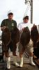 Click image for larger version

Name:	20140802_171123-2.jpg
Views:	188
Size:	45.0 KB
ID:	121150