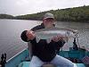 Click image for larger version

Name:	Landlocked Salmon.jpg
Views:	761
Size:	80.1 KB
ID:	122831
