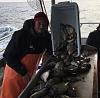 Click image for larger version

Name:	porgy.jpg
Views:	841
Size:	80.6 KB
ID:	130780