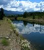 Click image for larger version

Name:	7 30 19 Shadow Mountain pump canal a.jpg
Views:	1245
Size:	97.8 KB
ID:	136425