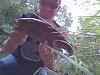 Click image for larger version

Name:	smallie.jpg
Views:	518
Size:	87.7 KB
ID:	99606