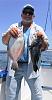 Click image for larger version

Name:	Bills Fluke and Sea Bass.jpg
Views:	376
Size:	40.9 KB
ID:	135526