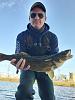 Click image for larger version

Name:	Walleye 1.jpg
Views:	845
Size:	47.1 KB
ID:	140844